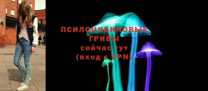 Псилоцибиновые грибы прущие грибы  сколько стоит  darknet формула  Нефтеюганск 