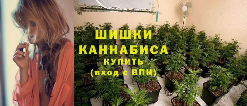 hydra зеркало  Нефтеюганск  Шишки марихуана SATIVA & INDICA 